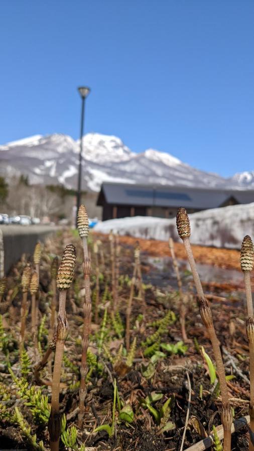 فندق Baco Myoko Akakura المظهر الخارجي الصورة